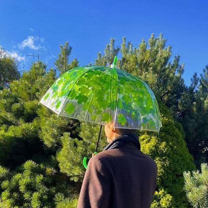Imaginea din Umbrela transparentă - frunze verzi
