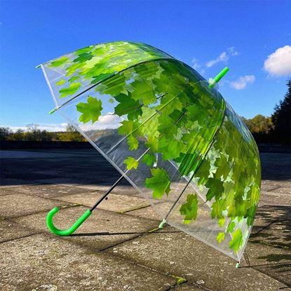 Imaginea Umbrela transparentă - frunze verzi