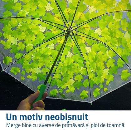 Imaginea din Umbrela transparentă - frunze verzi