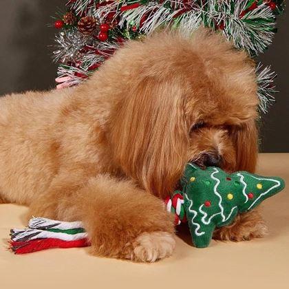Imaginea din Jucărie de Crăciun pentru câini - bradul de Crăciun