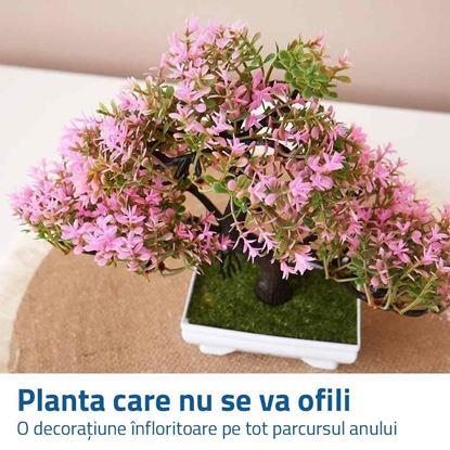 Imaginea Bonsai artificială