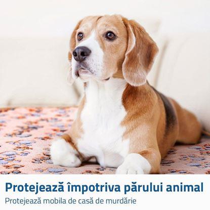 Imaginea Pătură pentru câini cu model lăbuțe