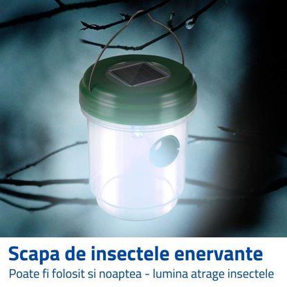 Imaginea Lapător solar de insecte