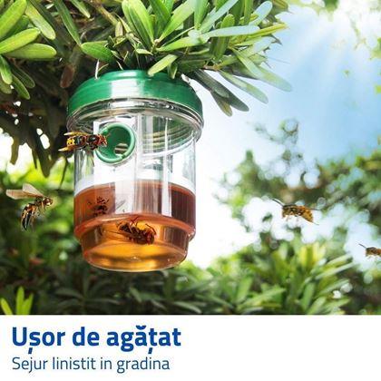 Imaginea din Lapător solar de insecte