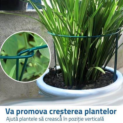 Imaginea din Suport metalic pentru plante 2 buc 35 cm