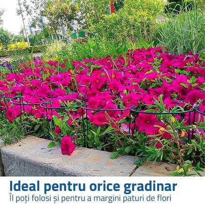 Imaginea din Suport metalic pentru plante 2 buc 35 cm