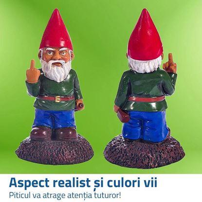 Imaginea Trasylvania Gnome - Gnomul Amuzant din Grădină