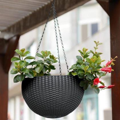 Imaginea din Ghiveci suspendat - diametru 26 cm