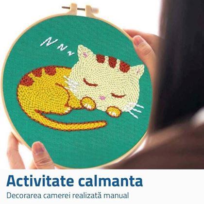Imaginea din Broderie pentru copii - pisică