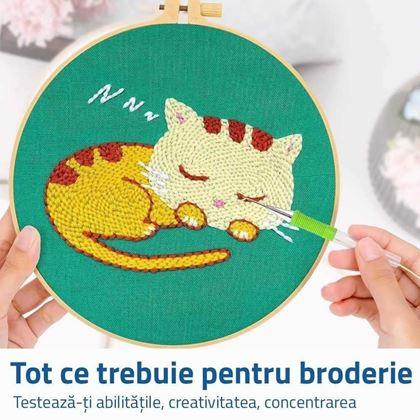 Imaginea din Broderie pentru copii - pisică