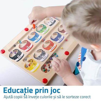 Imaginea Joc magnetic - sortarea culorilor