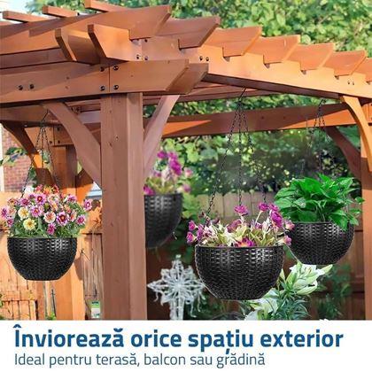 Imaginea din Ghiveci suspendat - diametru 26 cm