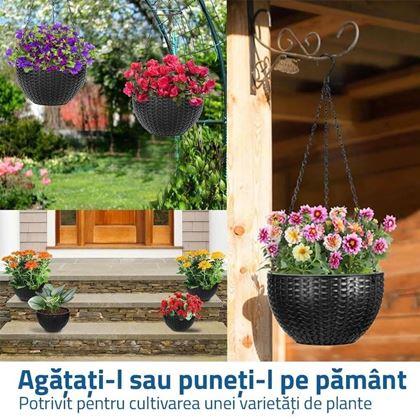 Imaginea din Ghiveci suspendat - diametru 26 cm
