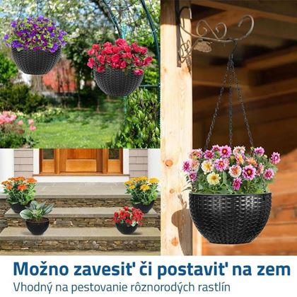 Imaginea din Ghiveci suspendat - diametru 26 cm