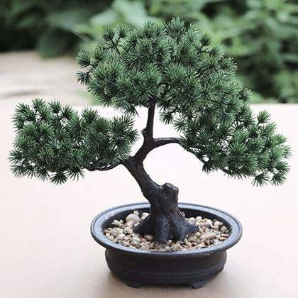 Imaginea din Bonsai artificial într-un ghiveci