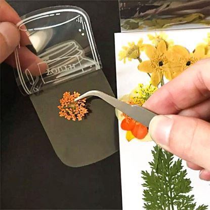 Imaginea Ierbar DIY - autocolante cu flori uscate