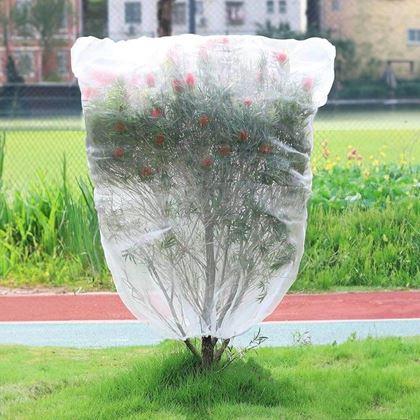 Imaginea din Plasă de protecție pentru plante