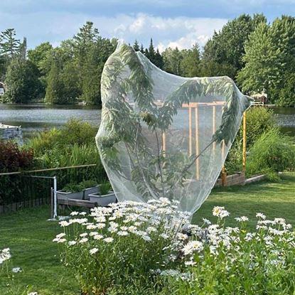 Imaginea Plasă de protecție pentru plante