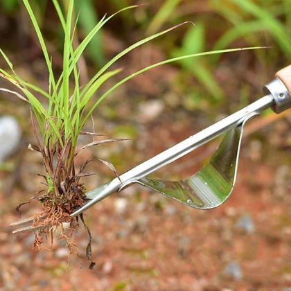 Imaginea din Smulgător de buruieni cu leagăn și mâner din lemn