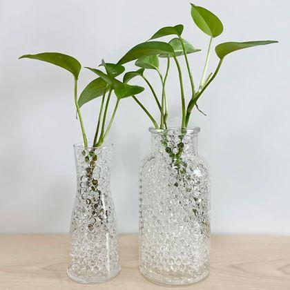 Imaginea din Bile de irigare hidrogel pentru plante