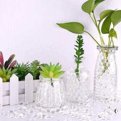 Imaginea din Bile de irigare hidrogel pentru plante