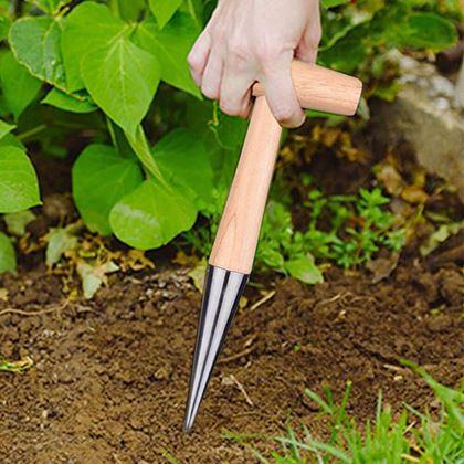 Imaginea din Ștampilă de plantare