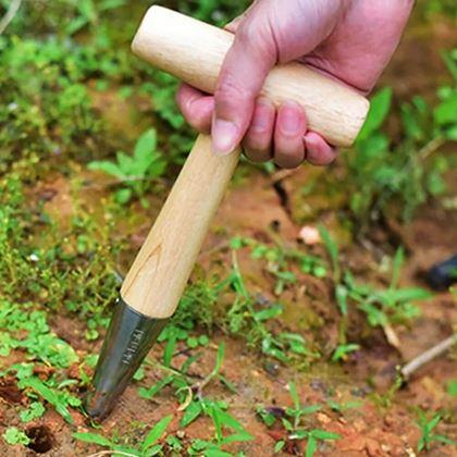 Imaginea din Ștampilă de plantare