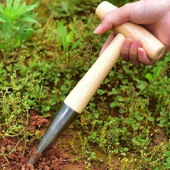 Imaginea din Ștampilă de plantare