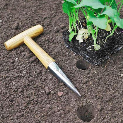 Imaginea din Ștampilă de plantare