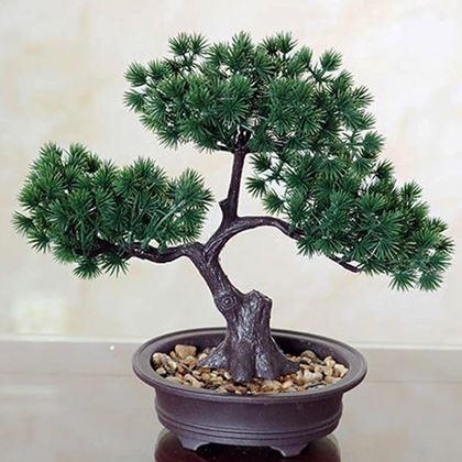 Imaginea din Bonsai artificial într-un ghiveci