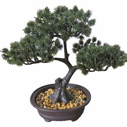 Imaginea din Bonsai artificial într-un ghiveci