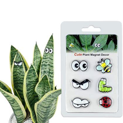 Imaginea din Magnete pentru plante ochi 6 bucăți