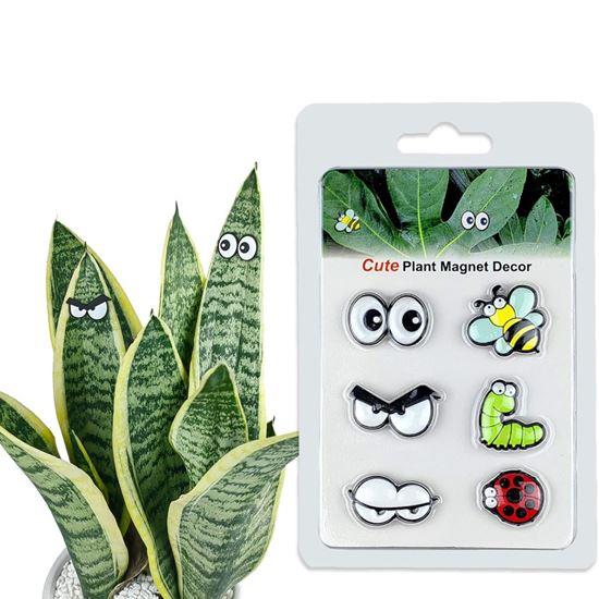 Imaginea din Magnete pentru plante ochi 6 bucăți