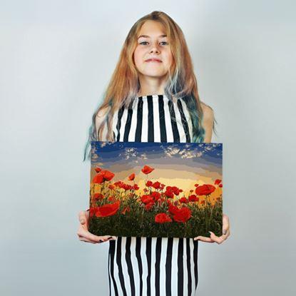 Imaginea Pictura pe numere, pânză întinsă pe ramă