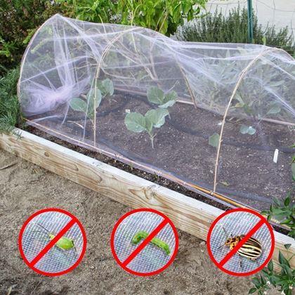 Imaginea din Plasă de protecție împotriva insectelor