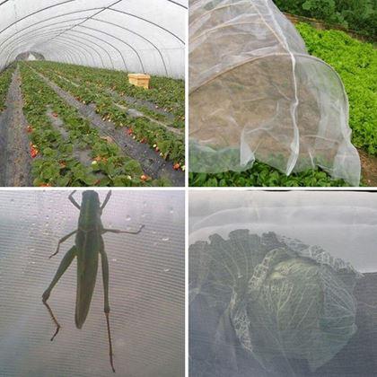 Imaginea din Plasă de protecție împotriva insectelor