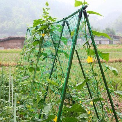 Imaginea din Plasă de susținere pentru cultivarea legumelor și florilor
