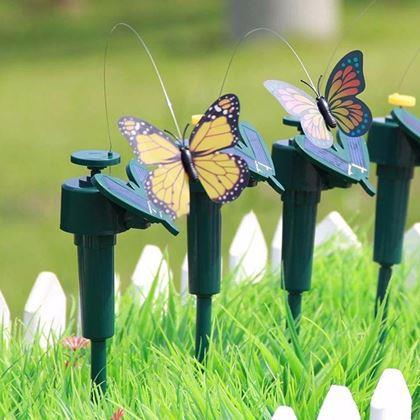 Imaginea din Fluture solar