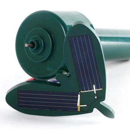 Imaginea din Fluture solar