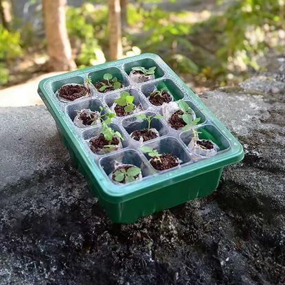 Imaginea Mini-seră