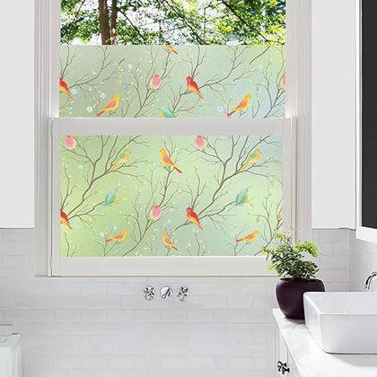 Imaginea din Folie decorativă pentru ferestre  -  păsărele