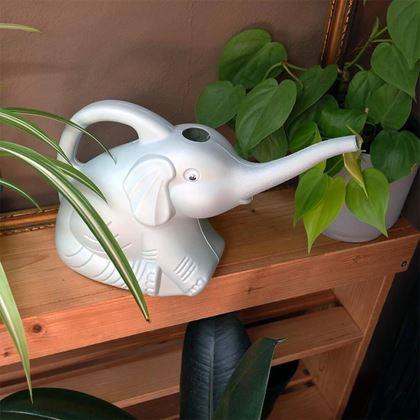 Imaginea din Stropitoare - elefant