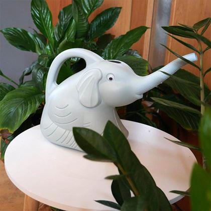 Imaginea din Stropitoare - elefant