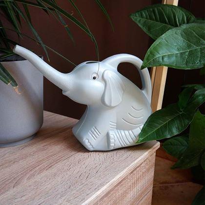 Imaginea din Stropitoare - elefant