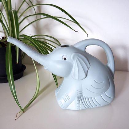 Imaginea din Stropitoare - elefant