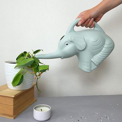 Imaginea Stropitoare - elefant