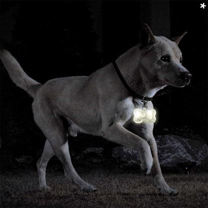 Imaginea Breloc LED luminos pentru zgardă