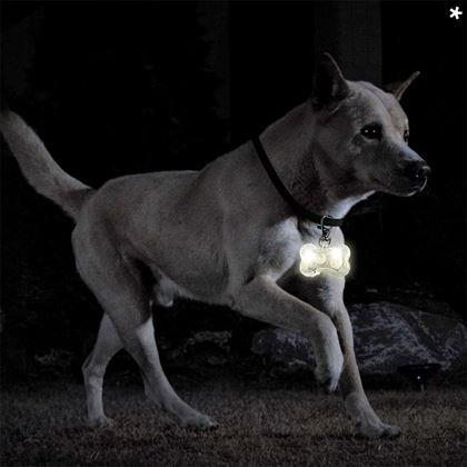 Imaginea din Breloc LED luminos pentru zgardă