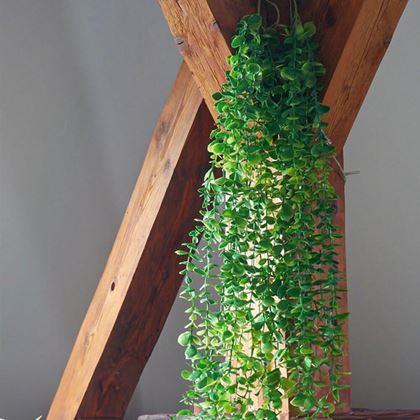 Imaginea din Plantă suspendată artificială 124 cm