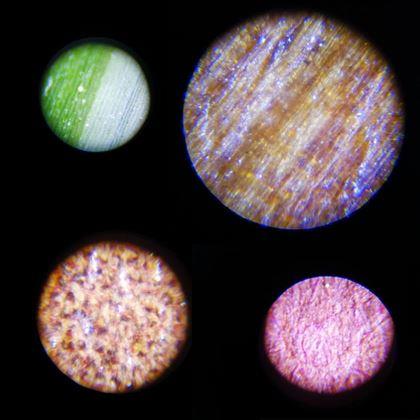 Imaginea din Microscop de buzunar pentru copii